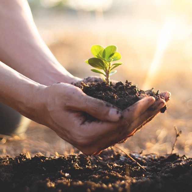 De Bortoli’s tree planting initiative with the 17 Trees Plant-a-Tree program has reached the milestone of planting 50,000 trees since its launch in 2020.