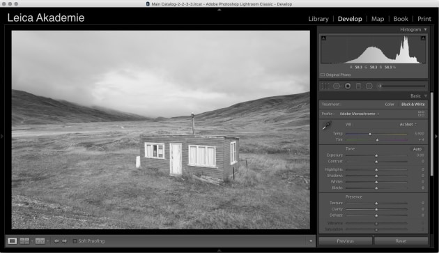 Clicking on the Black & White option in the Basic Pane of the Develop Module yields this vanilla conversion which is deadly dull and shows just how similar in tone the grey of the hut is compared to the orangey/brown grass.