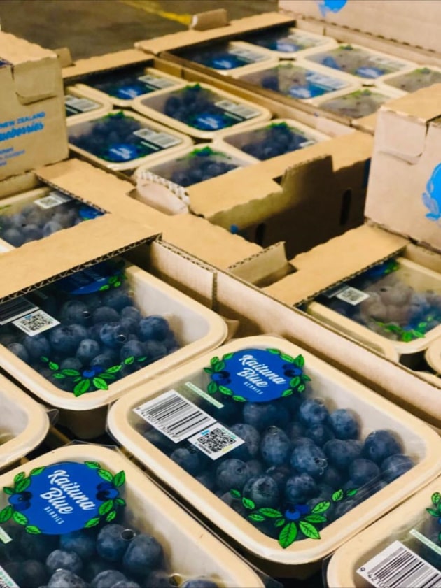 PIDA 2019 finalist in the food category: Punchbowl Packaging for Kaituna Blueberries peel-able, re-sealable, tamper-proof top seal fibre punnets.