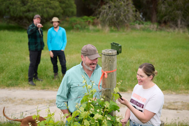 Sound recording devices have been installed in the Fowles vineyards to better understand the different bat species living there.