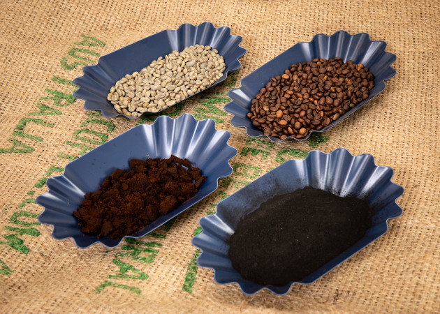 Samples of unroasted coffee beans, roasted coffee beans, spent ground coffee and the team’s coffee biochar. Image: Carelle Mulawa-Richards, RMIT University