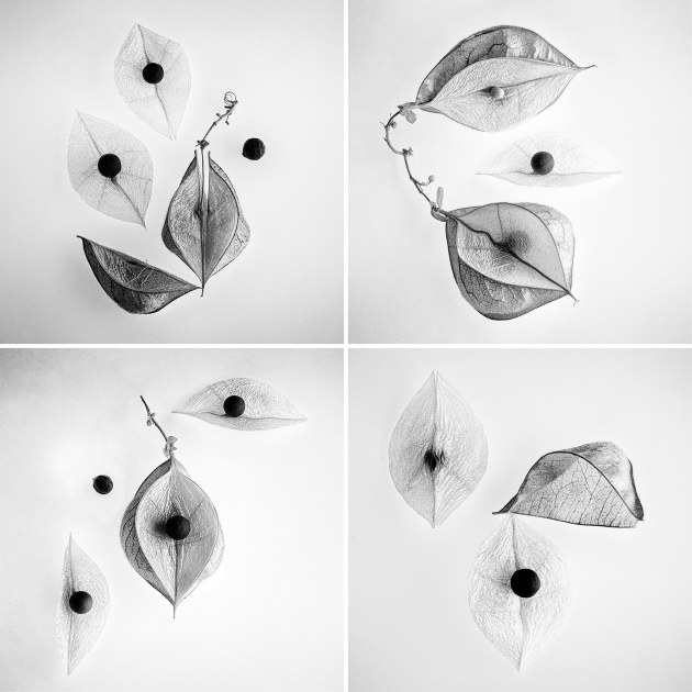 3-dianne-english-2018-bw-1.jpg