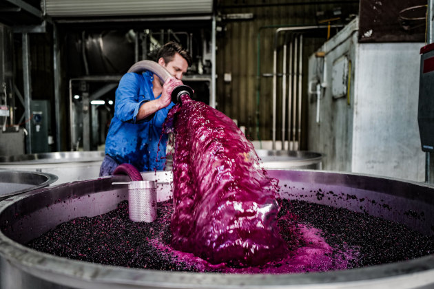 Forty NSW-based wineries appeared in the Top Wineries of Australia rankings, among them was Brokenwood Wines (#39).