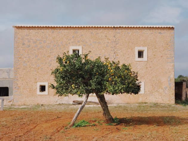 3rd Place – Trees: Be like Wes Anderson by Magdalena de Jonge Malucha, Spain
“During a winter morning walk. When I saw this old-fashioned farmhouse with this twisted orange tree. I simply couldn’t resist, and for a moment I felt like I was in a Wes Anderson movie.”
Location: Santa Agnès de Corona, Ibiza. Shot on iPhone 7 Plus