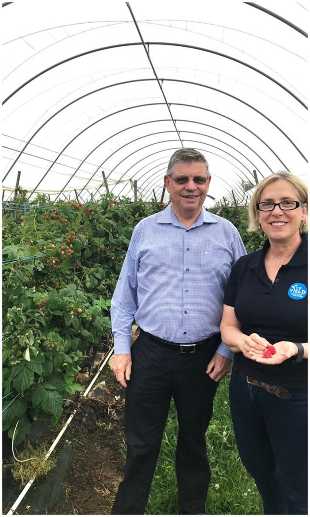 Harry Debney, Costa Group CEO, and Ros Harvey, The Yield founder and managing director, at a Costa berry farm in NSW.