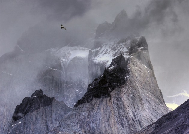 2017 Bird Photographer of the Year Awards. Winner, Birds in the Environment. 'Condor over mountains' by Ben Hall