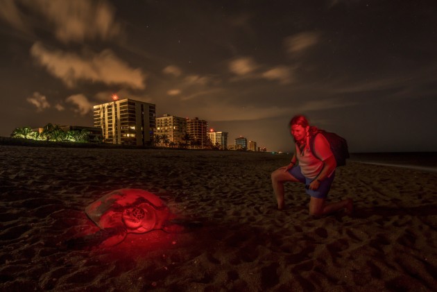 The dense building provide a sense of place and highlight the threats of foreshore development on the turtles that nest here. I had to use red light to highlight the researcher and turtle in two seperate bursts during a long exposure. It is illegally to use flash on the turtles, reinforcing the important of homework to determine local rules and regulations.