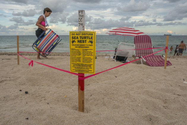 To help protect turtle nests in the bustling urban environment, local authorities rope off the nests and place signage up to ensure they are not disturbed. Timing an image so that a beach-goer was in the scene helped to provide some further context to the image.