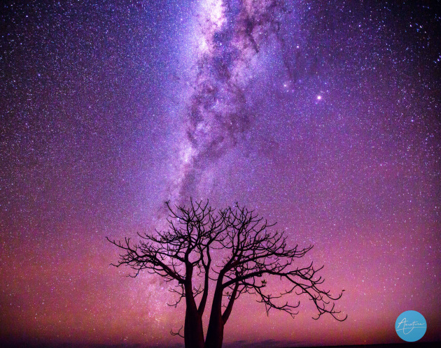 © Michael Haluwana. Perfect example of staying out late to capture the stars. This is a still from a time-lapse.