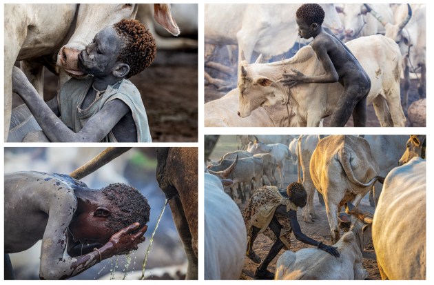 People category runner-up, Anthony Lawrence, Mundari Cattle Herders of South Sudan.