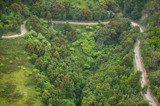 apollo-bay-to-forrest-views.jpg