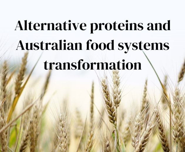 In a report to state and federal governments, alternative proteins think tank Food Frontier has warned that failing to transform our food system will see Australia miss out on market opportunities as well as fall behind the rest of the world.