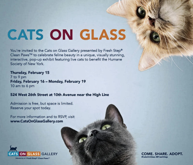 An invitation to the Cats on Glass Gallery.