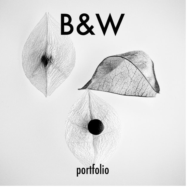 bw-poty-button3.png