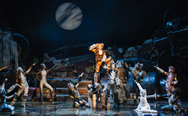 cats-2024-2025-international-tour-company-2--xiadong.jpg