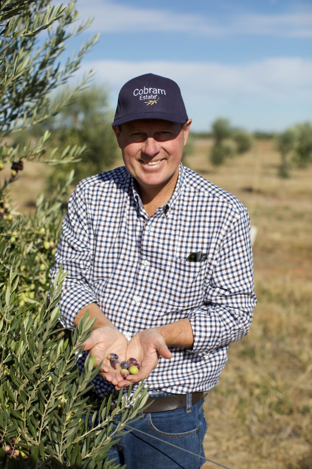 Cobram Estate chair and co-founder, Rob McGavin. (Image: CBO)