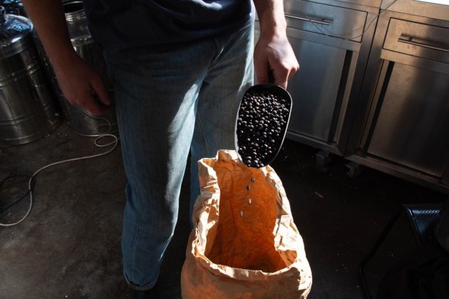 Without juniper berries, gin isn’t gin. (Image source: Craft & Co)