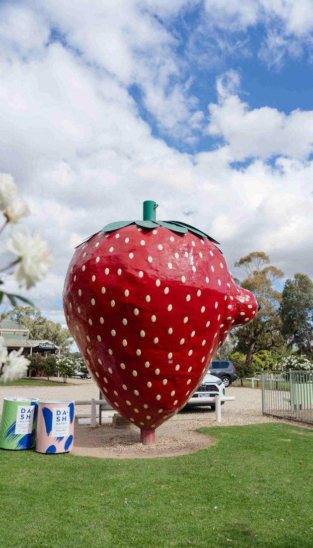 Dash Water and strawberry farmers Darren and Tarn Hayes, have “wonkified” the Big Strawberry in Koonoomoo, Victoria to send the message that wonky fruits and vegetables are just as beautiful and delicious as any other.