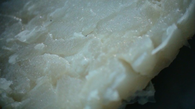 Eighth Day Foods' plant-based fish protein is clean, nutritious, and scaleable.