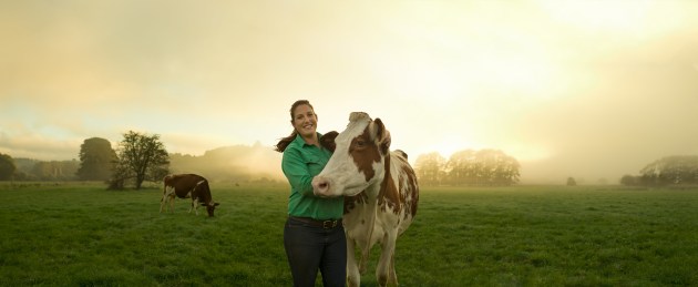Dairy Farmers rebrand