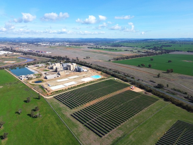 Canola oil producer, Riverina Oils & Bio Energy (ROBE), has partnered with Australian renewable energy retailer, Flow Power, to power its operations with solar energy – a major step towards enhancing sustainability of its products.
Source: Riverina Oils