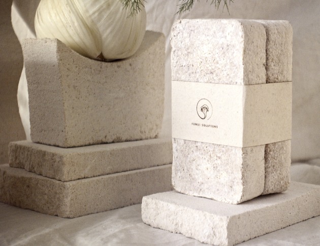 Creating sustainable packing from fungi. Image: Fungi Solutions