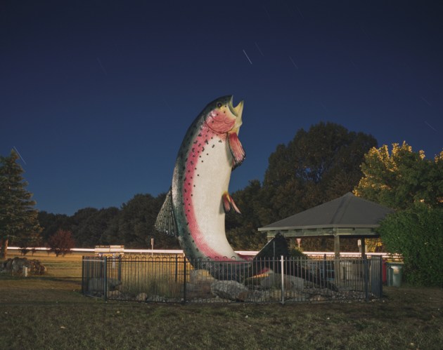 © Chris Round. NSW Landscape Prize. The Big Trout,
Adaminaby, NSW. The Big Trout in the trout fishing village of Adaminaby weighs
2.5 tonnes and holds the illustrious title of the world's biggest
trout. Seemingly leaping into the air to swallow a fortuitously
placed star trail, the fish is given a new lease of life. This image,
part of an ongoing project about the Snowy Hydro Scheme and
surrounding region in NSW, explores the balance between
nature and man's intervention - vast structures amongst epic
landscapes, re-shaped waterways and newly created ones. Also
the exploration of life in the region - skiing in winter; walking,
boating and fishing in warmer months.