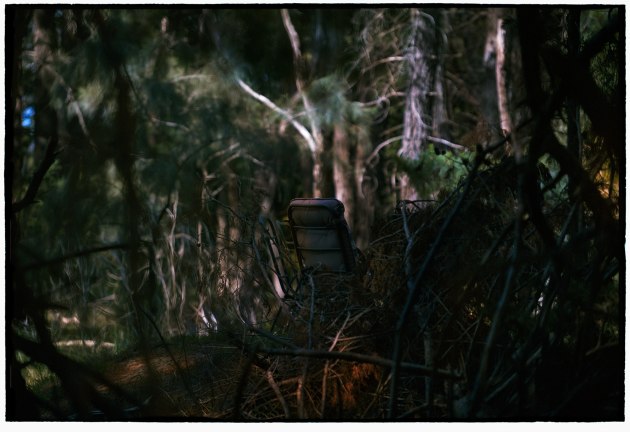 © Bill Henson. Untitled 9, from the series, Untitled 2018-19.