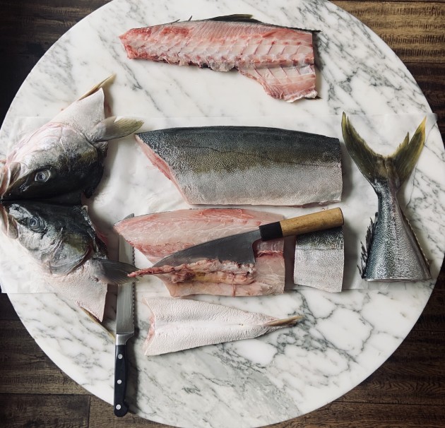 harvesting kingfish 3