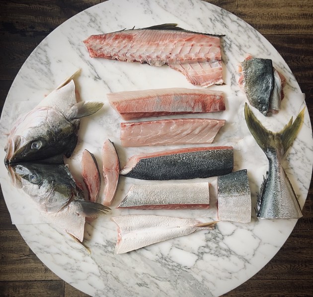 harvesting kingfish 4