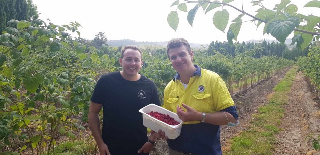 Tasmanian Westerway Raspberry Farm will supply Asahi Beverages with 50,000 kilograms of raspberries every year, with the beverage giant announcing it would no longer use imported berries from Poland.
Jesse Cartwright, Asahi, and Richard Clark, Westerway Farms. (Image source: Asahi Beverages)