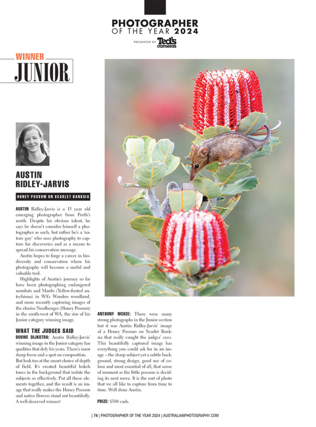junior-winner-74-copy.jpg