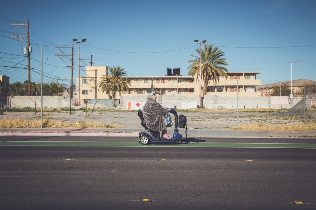 Lady Ogden, 2016. I had noticed this regal lady travelling further down the street and quickly set myself up opposite this vacant lot which I thought would be an interesting backdrop. I aimed to frame her between the two palm trees, but she was travelling at 15kph so a semi-fast shutter speed was needed to nail it. Canon 5D Mark III, 24-105mm lens @ 50mm. 1/400s @ f/9, ISO 200.