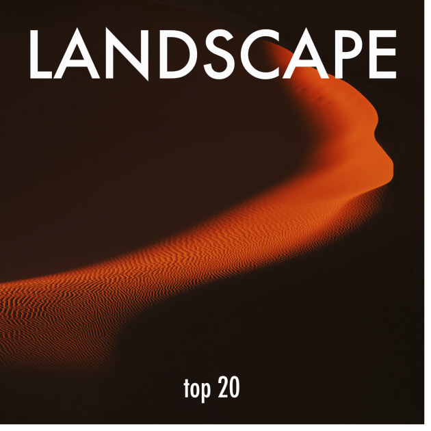 Landscape 2020 Top 20