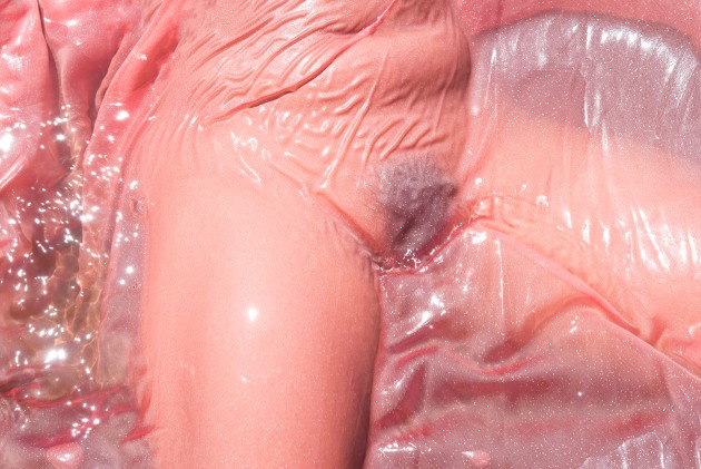 © Honey Long and Prue Stent. Scented Gel.