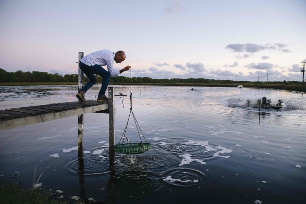 Eco Aquaculture Australia (Pacific Reef Tigers), took home the ASC Best Responsible Producer Award for its innovative water quality control system that cleans wastewater to a level where it can be reused.