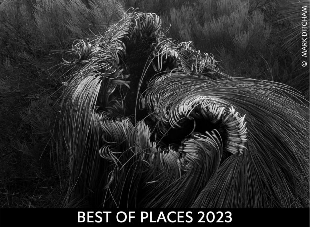 places-20202.jpg