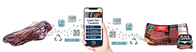 Graphic explaining how using the Sealed Air Mark will allow you to see inside a package through multiple data signatures.