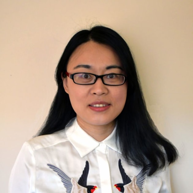 Project lead Associate Professor Rebecca Yang.