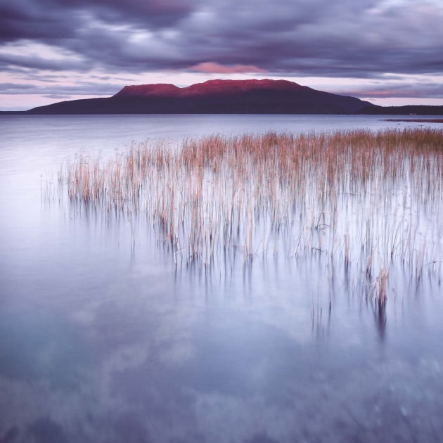 © Stephen Milner. Rotorua.