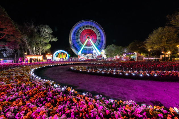 Rudy Kalele, NightFest - Flowers, Lights & the Giant Wheel. Canon EOS R6, Canon 15-35mm L F2.8 lens @ 15mm. 6s @ f22, ISO 1000.