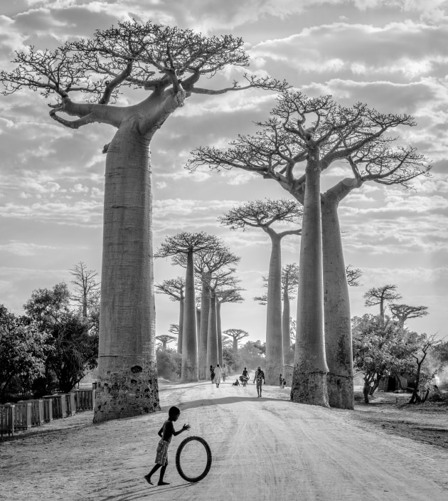 First place, Sharron Leppien, Running With Tyre (400+ likes).