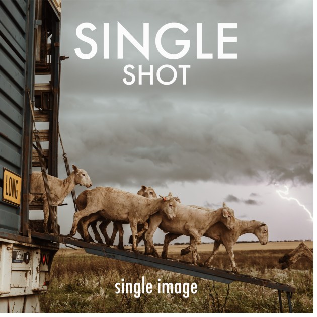 single-shot-poty-button3.png