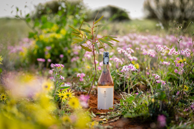 Since 2019, Tread Softly, in partnership with Carbon Neutral, has planted a tree for every case of wine sold, two million to date.