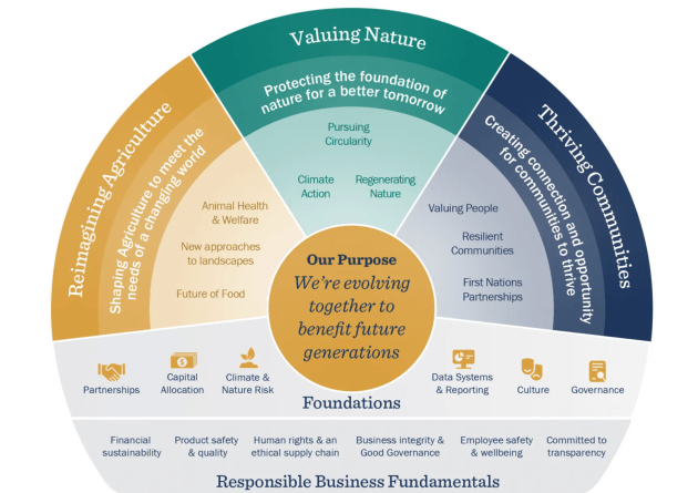 sustainability framework