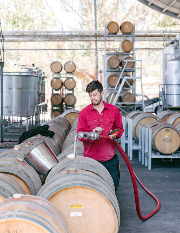 Winemaking at Hirsch Wine Group