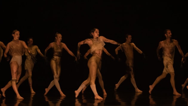 WOOF by Melanie Lane for SDC. Photo: Pedro Greig.