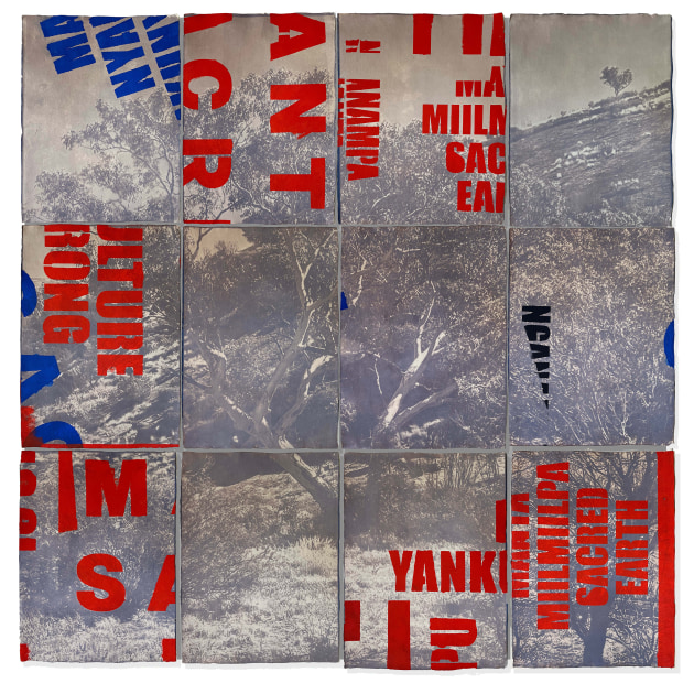 Robert Fielding, Sacred earth/Manta Miil miilpa (2024),
photosensitive emulsion, cotton paper, acrylic paint.
courtesy of the artist and Mimili Maku Arts (Anangu Pitjantjatjara Yankunytjatjara Land)