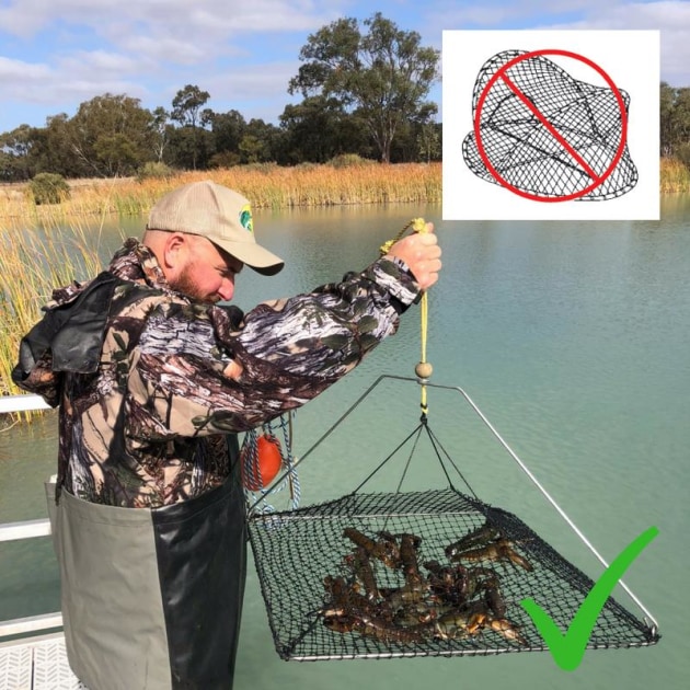 Changes ahead for yabby fishing regs Fishing World