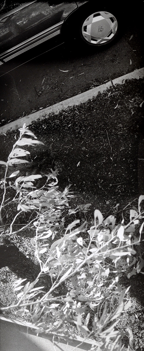 'Holden' by Joyce Evans, is part of her series 'The Edge of the Road'.